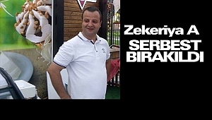 Ortalığı Karıştıran Şahıs Serbest