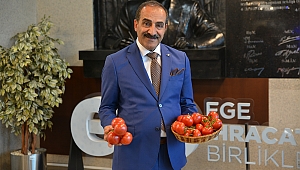 Türk Domatesi Rusya Vizesini Kaptı