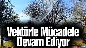 Vektörle Mücadele Devam Ediyor