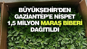 Büyükşehir’den Gaziantep’e Nispet: 1,5 Milyon Fide Dağıtıldı