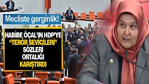 Habibe Öçal'ın HDP'ye Sert Sözleri Ortalığı Karıştırdı