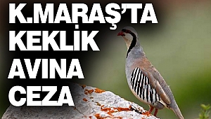 Kahramanmaraş’ta Keklik Avına Ceza