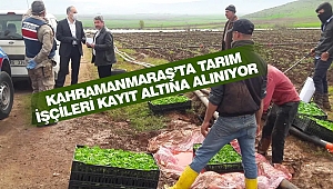 Kahramanmaraş’ta Tarım İşçileri Kayıt Altına Alınıyor