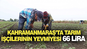 Kahramanmaraş’ta Tarım İşçilerinin Yevmiyesi 66 Lira
