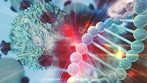 Kanser hakkında doğru sanılan 10 yanlış bilgi!