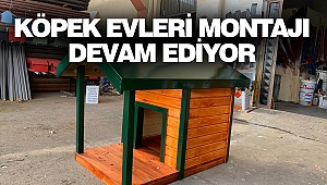 Köpek Evleri Montajı Devam Ediyor