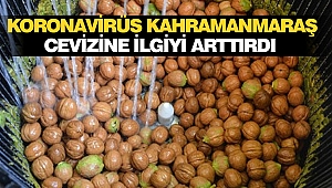 Koronavirüs Kahramanmaraş Cevizine İlgiyi Arttırdı
