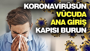 Koronavirüsün Vücuda Ana Giriş Kapısı Burun