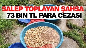 Salep Toplayan Şahsa 73 Bin TL Para Cezası