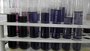 SANKO Okullarının Dört Projesi Bölge Finallerinde