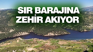 Sır Barajı Siyaha Büründü: Her Yer Zehir 
