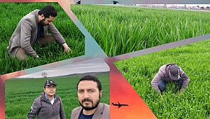 Tedbirler Alınarak Üretime Devam Türkiye