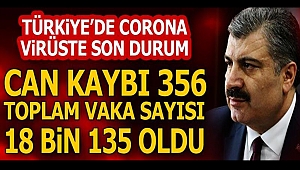 Türkiye'de son 24 saatte 79 kişi hayatını kaybetti
