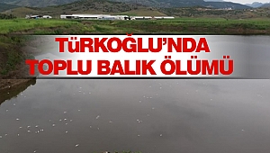 Türkoğlu’nda Toplu Balık Ölümü