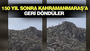 150 Yıl Sonra Kahramanmaraş'a Geri Döndüler