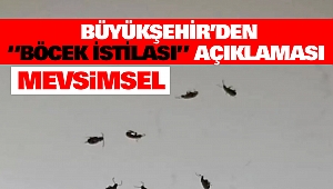 Büyükşehir’den “Böcek İstilası” Açıklaması