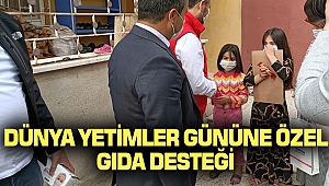 Dünya Yetimler Gününe Özel Gıda Desteği