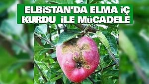 Elbistan’da Elma İç Kurdu İle Mücadele