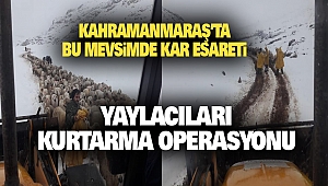 Elbistan'da Yaylada Mahsur Kalanları Kurtarma Çalışması