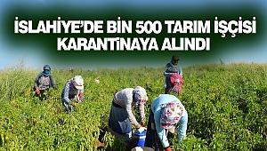 İslahiye’de Bin 500 Tarım İşçisi Karantinaya Alındı