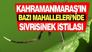 Kahramanmaraş’ın Bazı Mahalleleri’nde Sivrisinek İstilası
