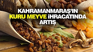 Kahramanmaraş'ın Kuru Meyve İhracatında Artış