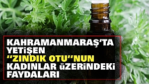 Kahramanmaraş’ta Yetişen “Zındık Otu”Nun Kadınlar Üzerindeki Faydaları
