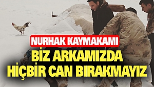 Karda Mahsur Kalan 2 Köpek 1 Horoz Kurtarıldı