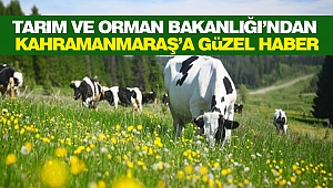 Tarım Ve Orman Bakanlığı’ndan Kahramanmaraş’a Güzel Haber