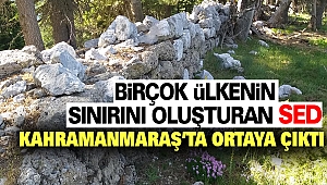 Birçok Ülkenin Sınırını Oluşturan Sed Kahramanmaraş'ta Ortaya Çıktı