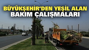 Büyükşehir’den Yeşil Alan Bakım Çalışmaları