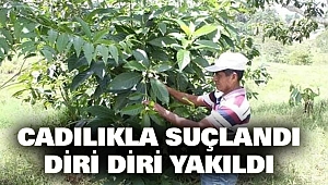 Cadılıkla Suçlanan Şifacı Diri Diri Yakıldı