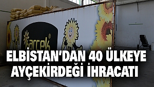 Elbistan’dan 40 Ülkeye Ayçekirdeği İhracatı