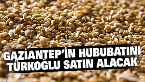 Gaziantep’in Hububatını Türkoğlu Satın Alacak