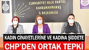 Kadın cinayetlerine ve kadına şiddete CHP'den ortak tepki