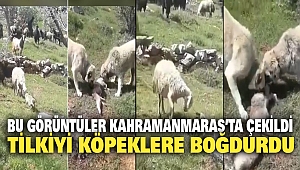 Kahramanmaraş'ta Akıl Almaz Görüntüler