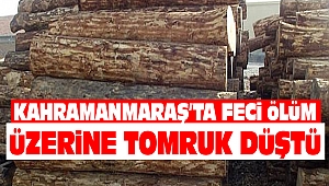 Kahramanmaraş’ta Feci Ölüm: Üzerine Tomruk Düştü