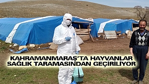 Kahramanmaraş'ta Hayvanlar Sağlık Taramasından Geçiriliyor