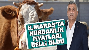 Kahramanmaraş'ta Kurbanlık Fiyatları Belli Oldu