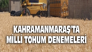 Kahramanmaraş’ta Milli Tohum Denemeleri