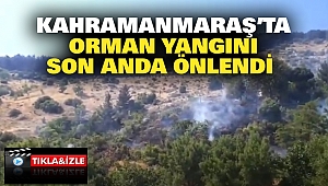 Kahramanmaraş’ta Orman Yangını Son Anda Önlendi