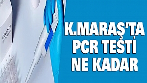 Kahramanmaraş'ta PCR Testi Ne Kadar