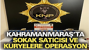 Kahramanmaraş’ta Sokak Satıcısı Ve Kuryelere Operasyon
