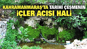Kahramanmaraş'ta Tarihi Çeşmenin İçler Acısı Hali