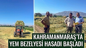 Kahramanmaraş’ta Yem Bezelyesi Hasadı Başladı