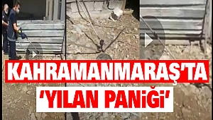 Kahramanmaraş'ta 'Yılan Paniği'