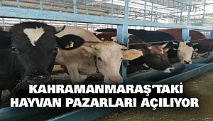 Kahramanmaraş’taki Hayvan Pazarları Açılıyor