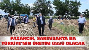 Pazarcık, Sarımsakta Da Türkiye’nin Üretim Üssü Olacak