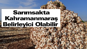 Sarımsakta Kahramanmaraş Belirleyici Olabilir