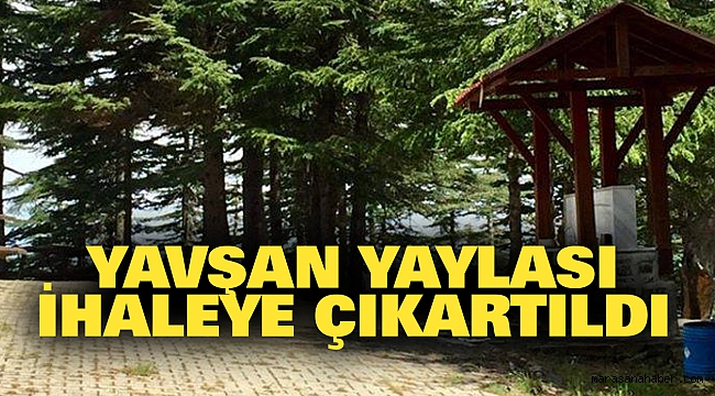 Yavşan Yaylası İhaleye Çıkartıldı